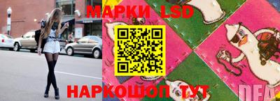 мдпв Новокубанск